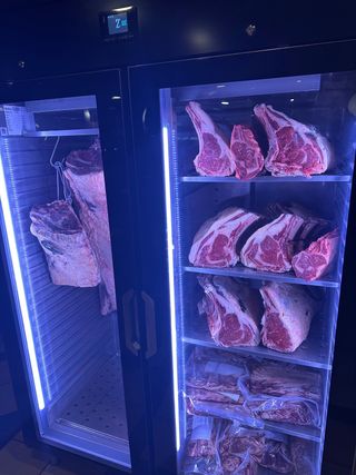 Madurador carne dry ager infrico