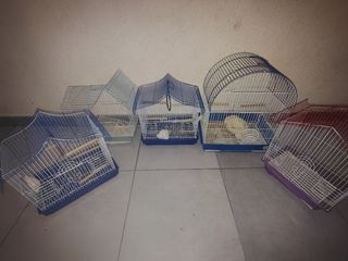 Jaulas para pájaros