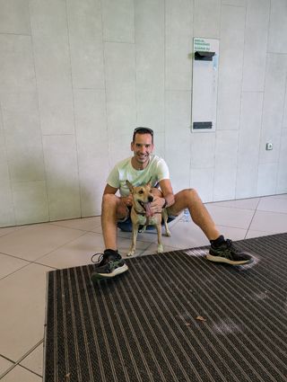 Guardería y Cuidador de perros y gatos 