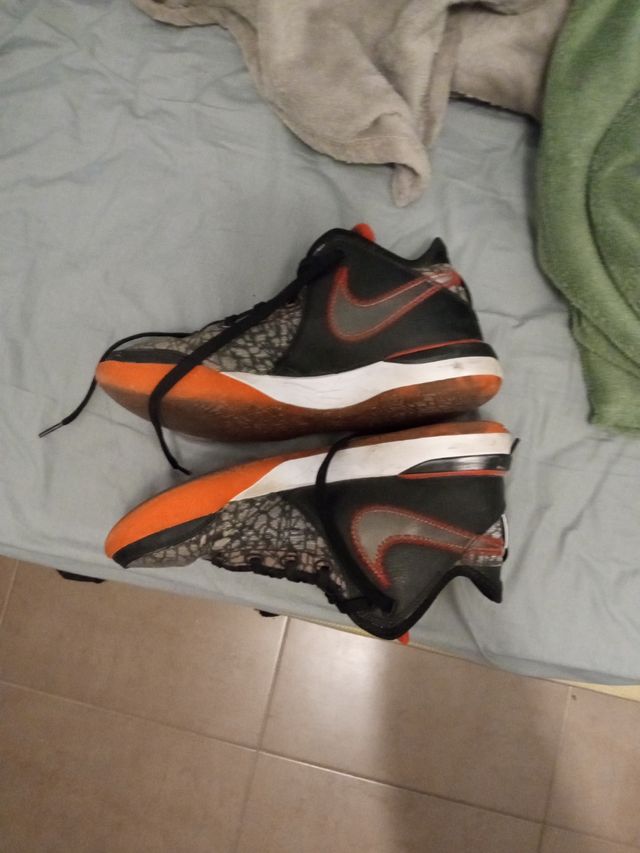 Zapatillas nike LeBron 20 faze clan