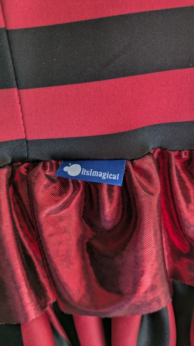 Disfraz Pirata Imaginarium