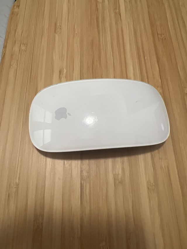 Magic mouse baterias