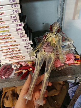 Erase una vez el cuerpo humano