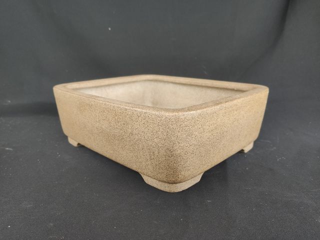 Maceta Bonsai japonesa Harumatsu