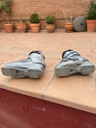 Botas de esqui