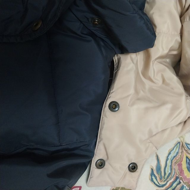 Plumas GANT azul marino