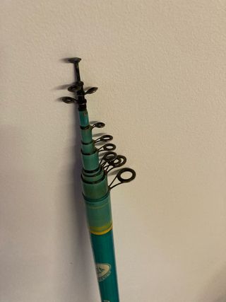 CANNA PER TROTA LAGO