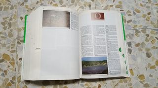 Diccionario español