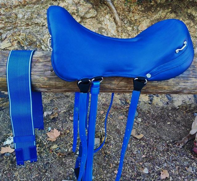 SILLA RAID MARCHA COMPLETA NUEVA ENVIO