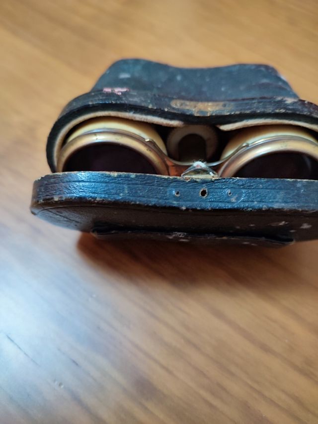 Prismáticos, binoculares SXIX.