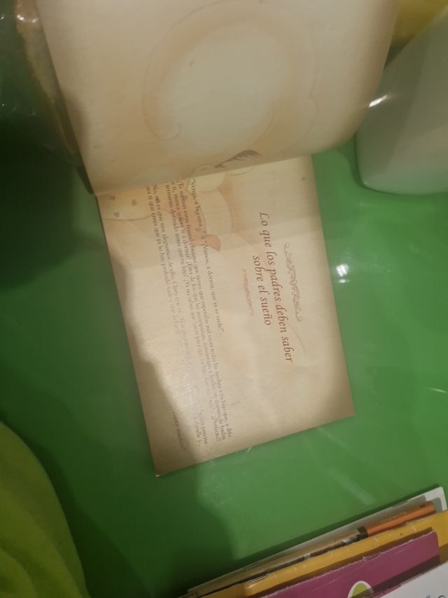 El libro de sus sueñis