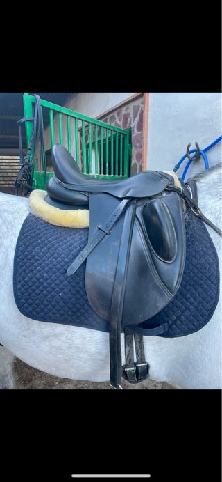 Silla de doma queen pirouette