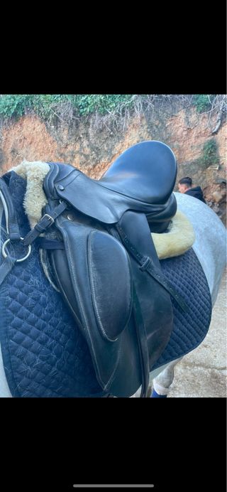 Silla de doma queen pirouette