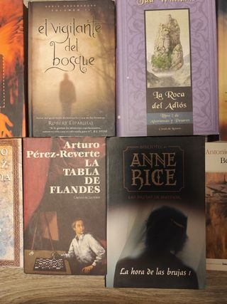 Lote libros novelas 