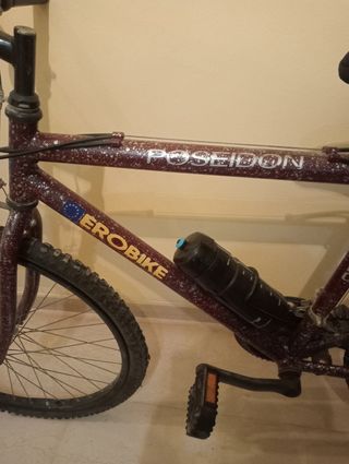 Bicicleta de montaña