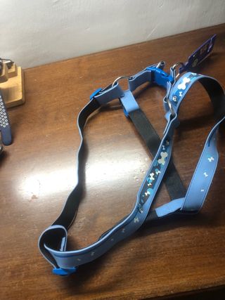 Pettorina per cani xxl