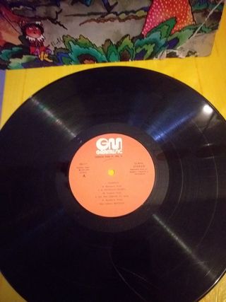 DISCO L.P. VINILO.