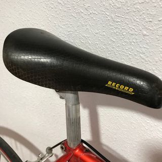 Bicicleta Zeus Vintage