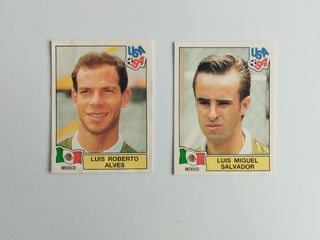 MUNDIAL 1994 USA PANINI