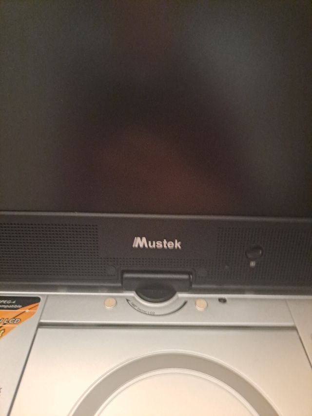 Reproductor DVD y CD portatil