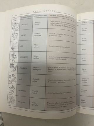 Libro de magia