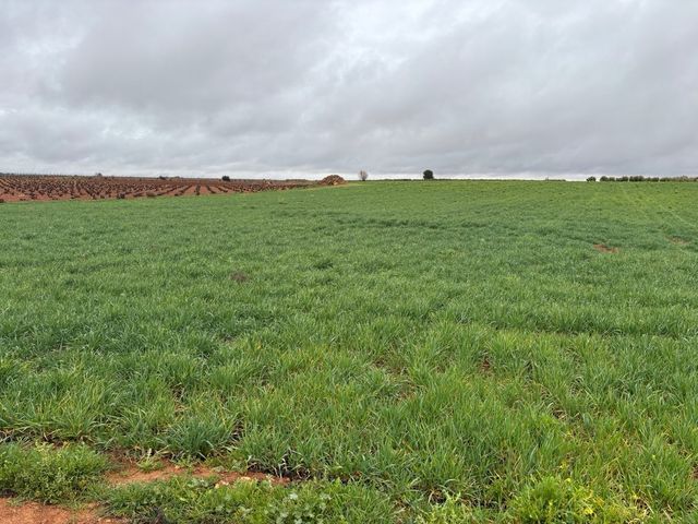 Se vende una hectarea y media de tierra de labor