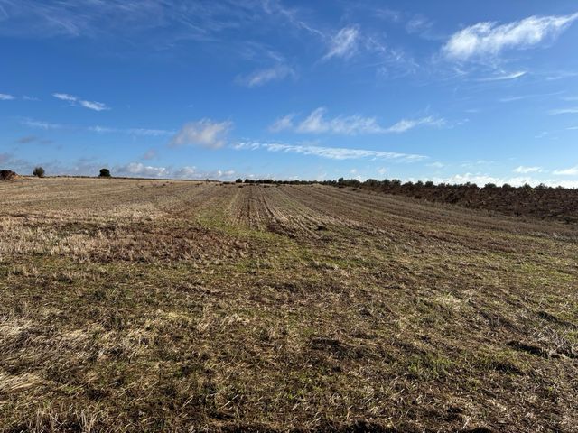 Se vende una hectarea y media de tierra de labor