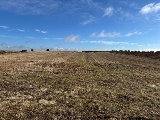 Se vende una hectarea y media de tierra de labor