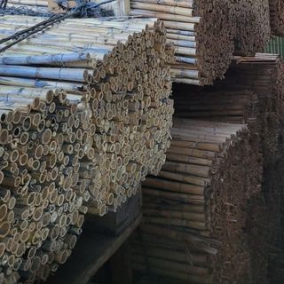 Cañizo Natural de Caña Entera 1x5 m Nacional