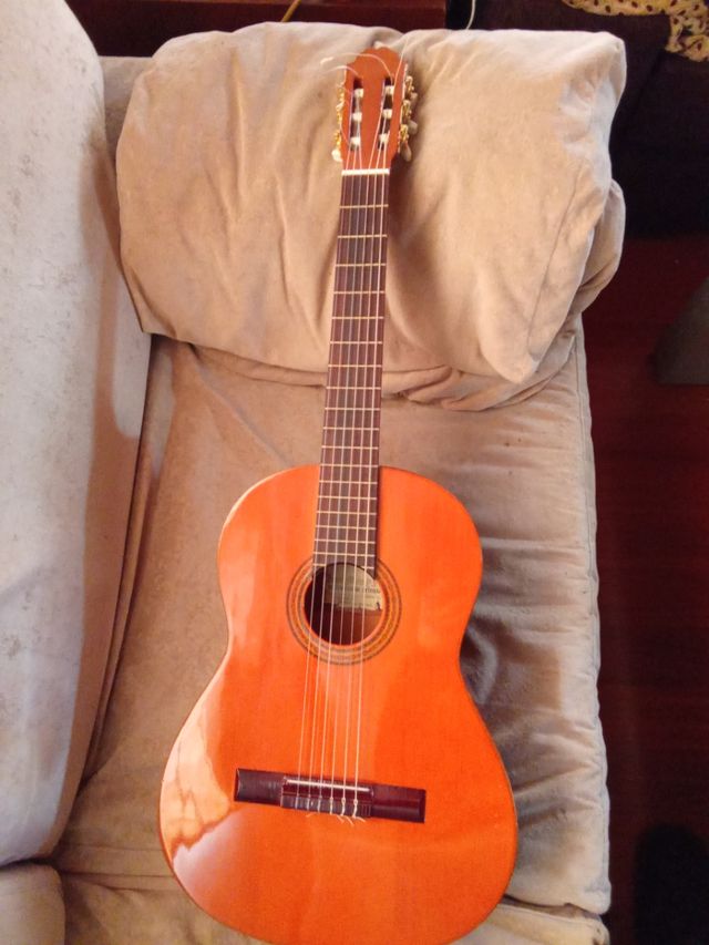Vendo o cambio guitarra española