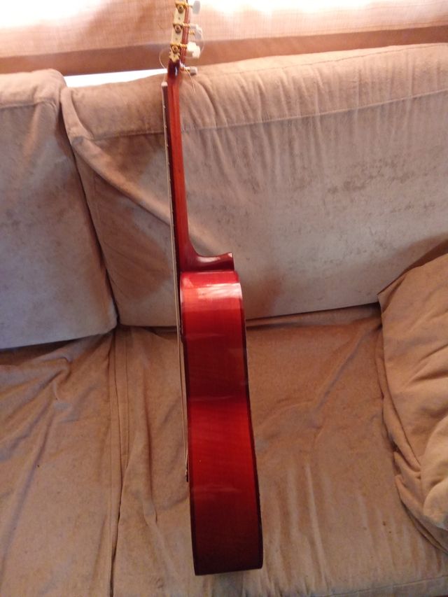 Vendo o cambio guitarra española