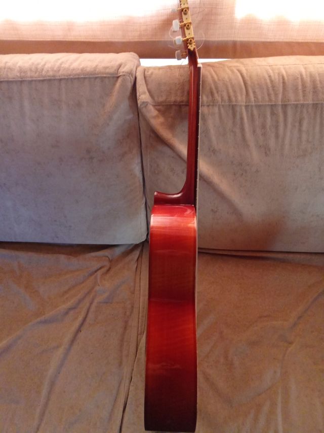 Vendo o cambio guitarra española