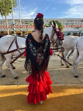 Traje de Flamenca