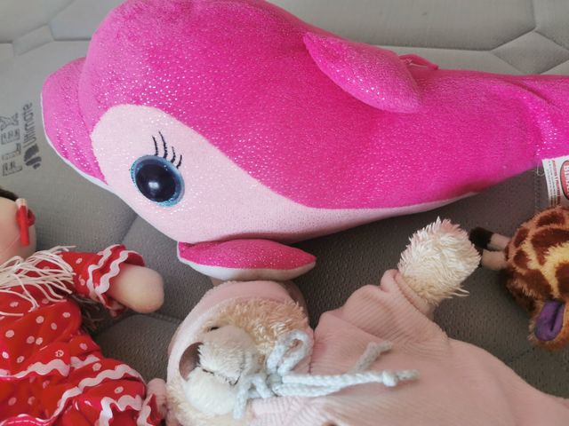 Peluches. Juego de 10 peluches