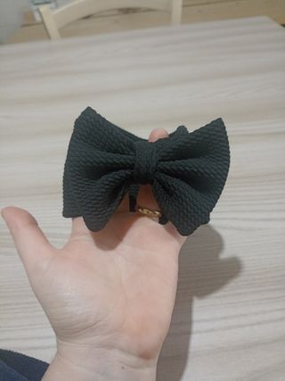 Papillon nero per cani di piccola taglia