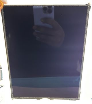 IPad Pantalla Original De Apple