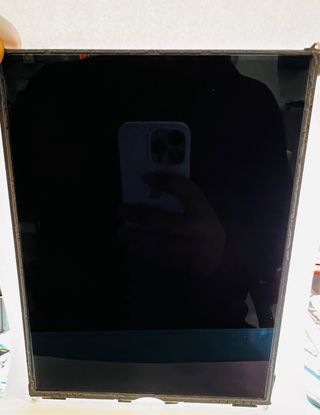 IPad Pantalla Original De Apple