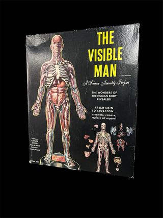 vintage space age anatomia 