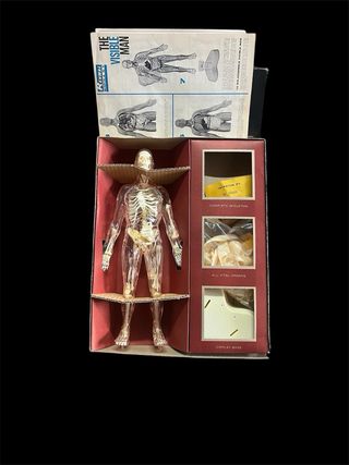 vintage space age anatomia 