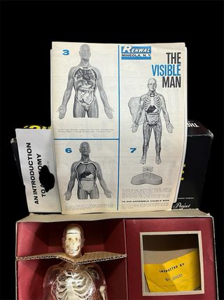 vintage space age anatomia 