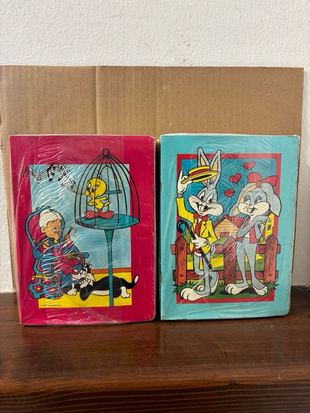 Coppia blocchi quadernetti vintage Warner Bros