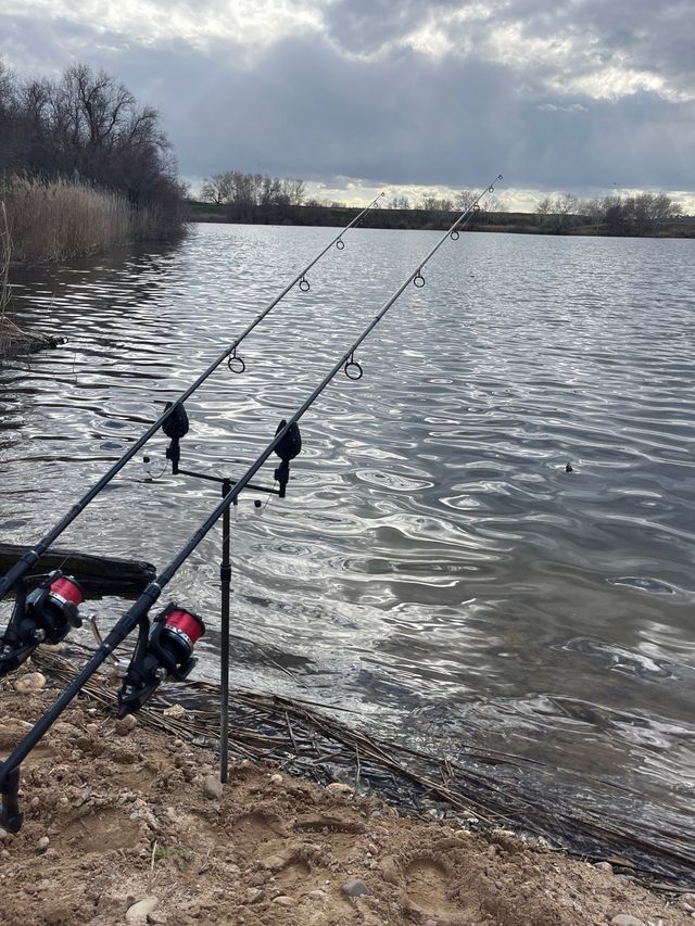 Cañas de pescar virux