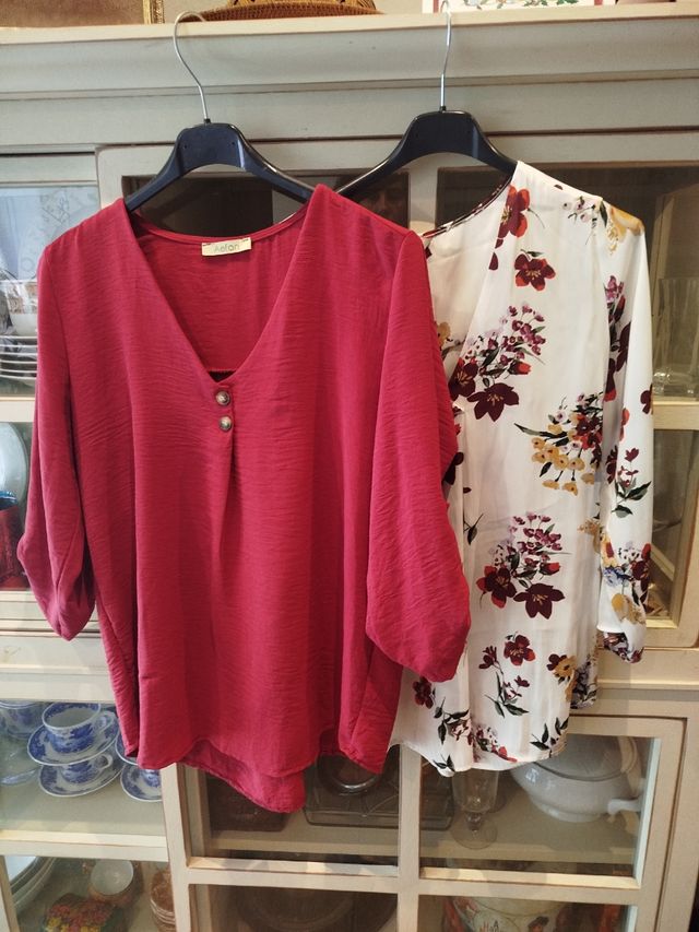 Lote 2 blusas