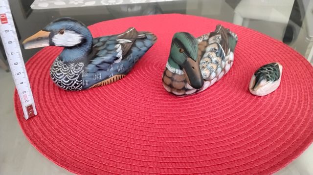 FAMILIA PATOS DE ADORNO