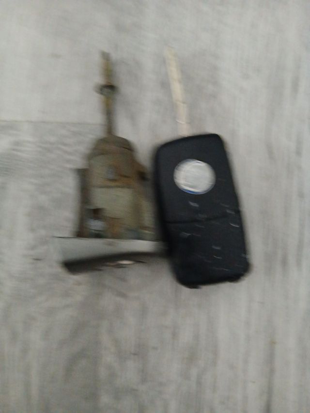 Bombin de puerta passat 2007