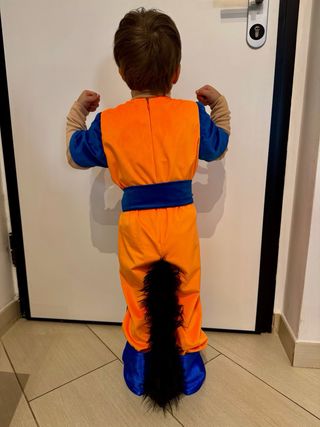 Vestito Carnevale Dragonball Sartoriale