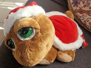 Peluche Tartaruga 