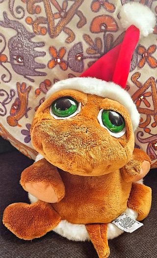 Peluche Tartaruga 