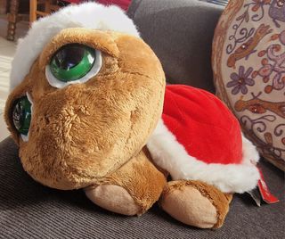 Peluche Tartaruga 