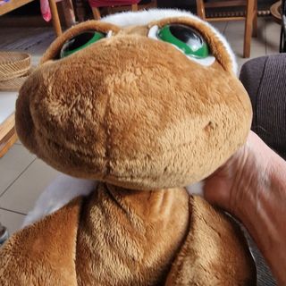 Peluche Tartaruga 